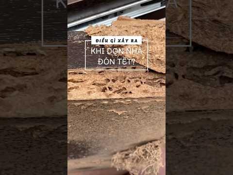 Tổng vệ sinh nhà ở 1